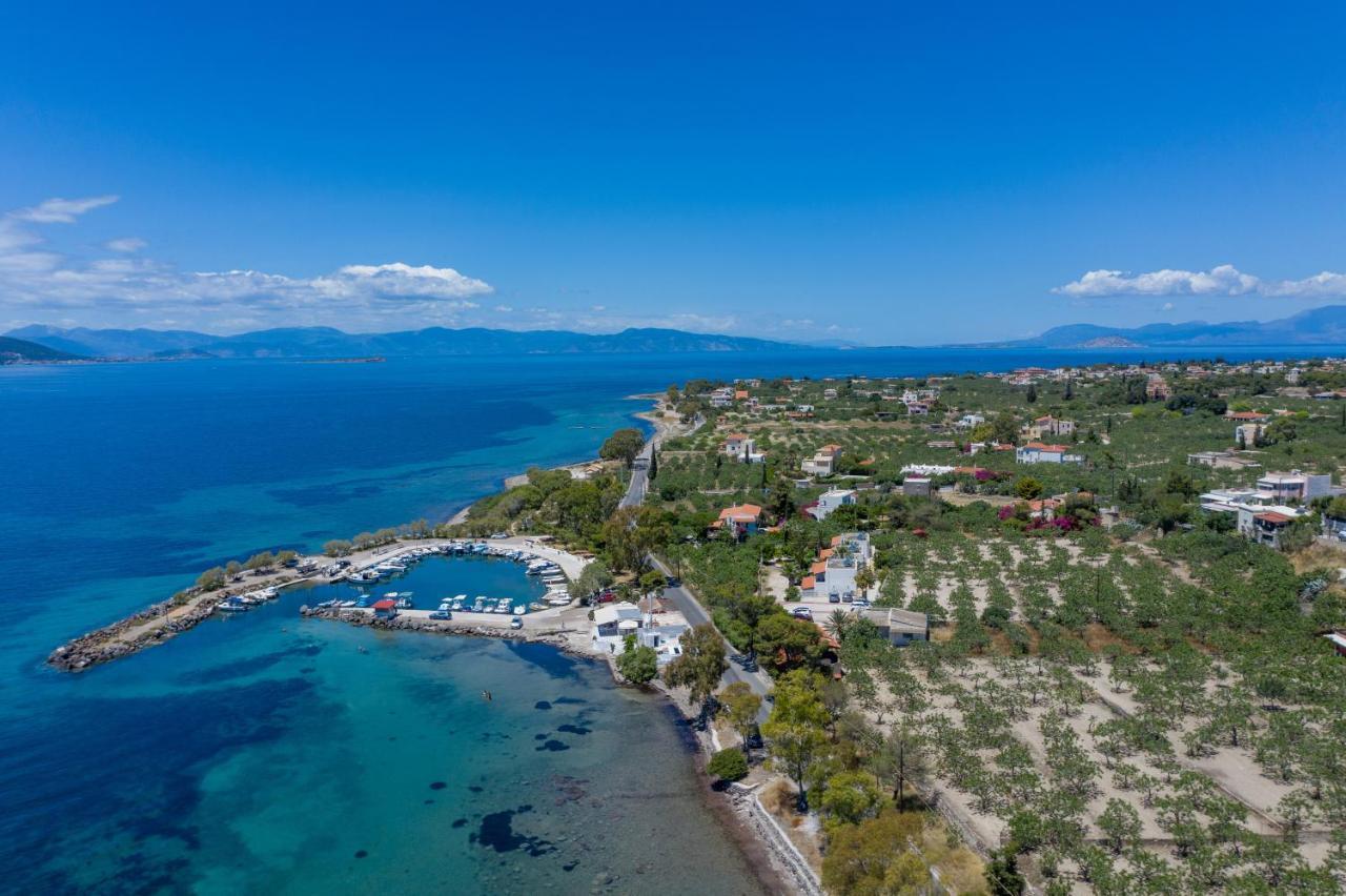 Stefanie Studios Aegina エクステリア 写真