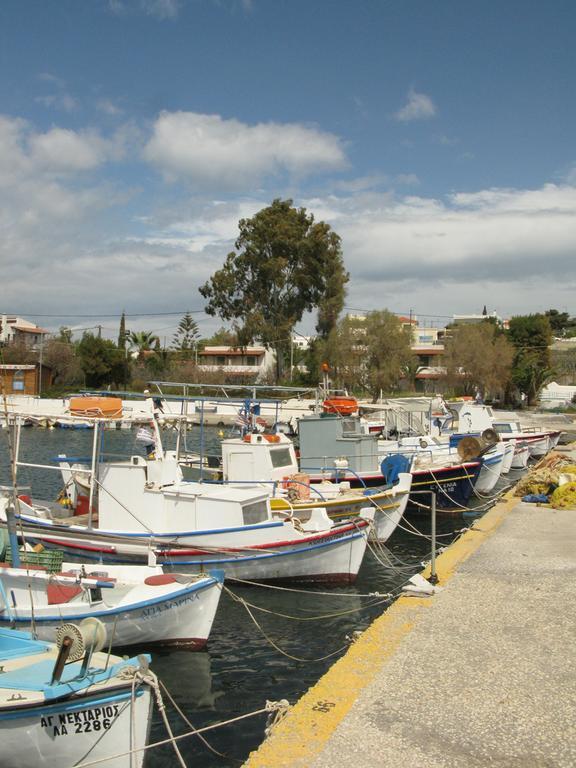 Stefanie Studios Aegina エクステリア 写真