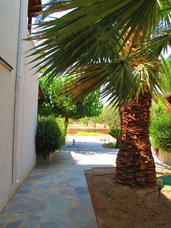 Stefanie Studios Aegina エクステリア 写真